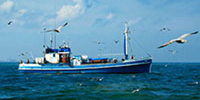 fishing boat birds 200 140